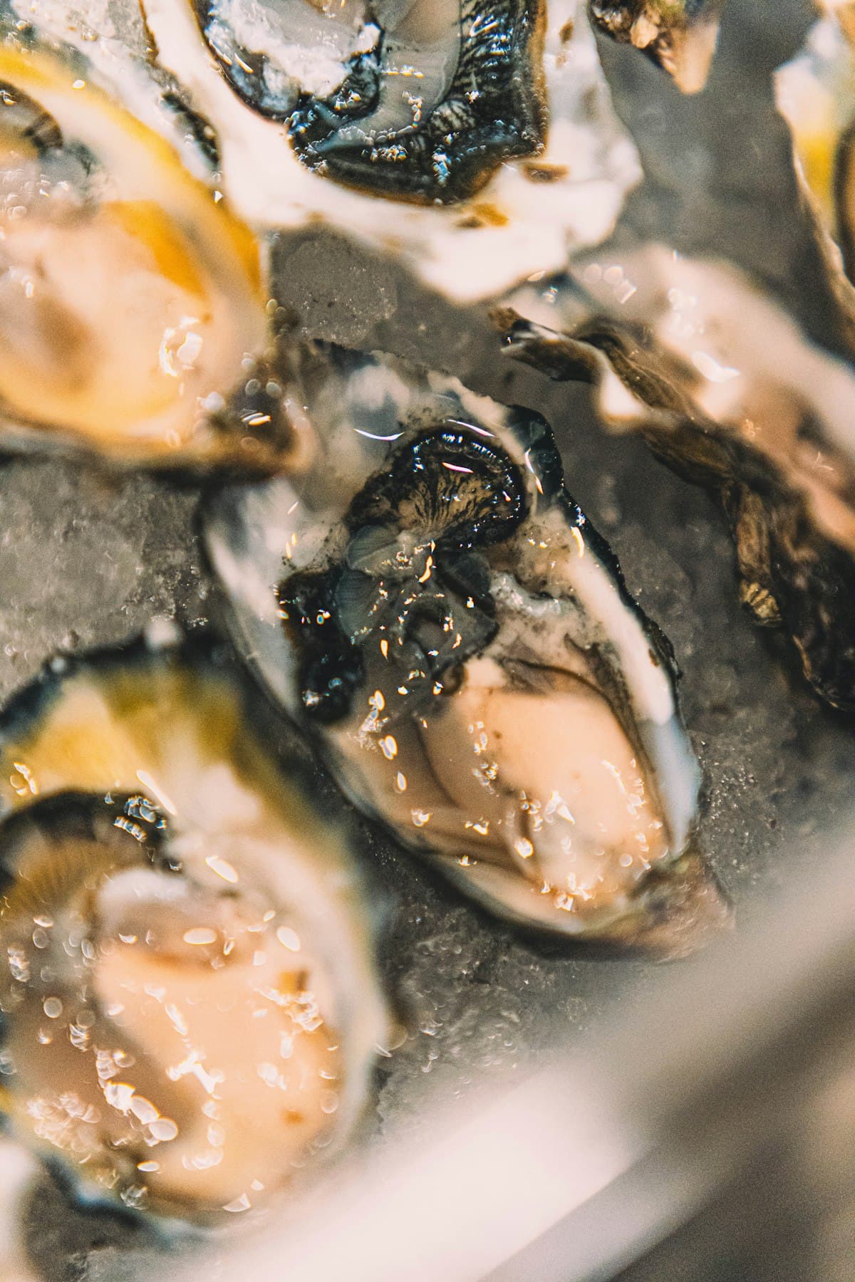 Fresh oysters on ice. Photo: Madeline Liu / Unsplash