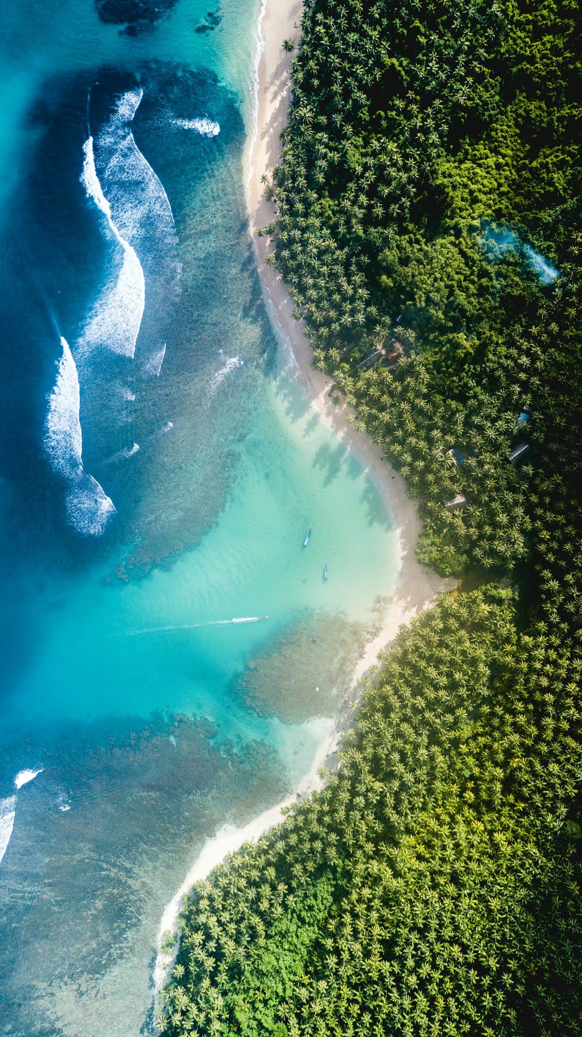 Rocky coastline with tide pools. Photo: Unsplash