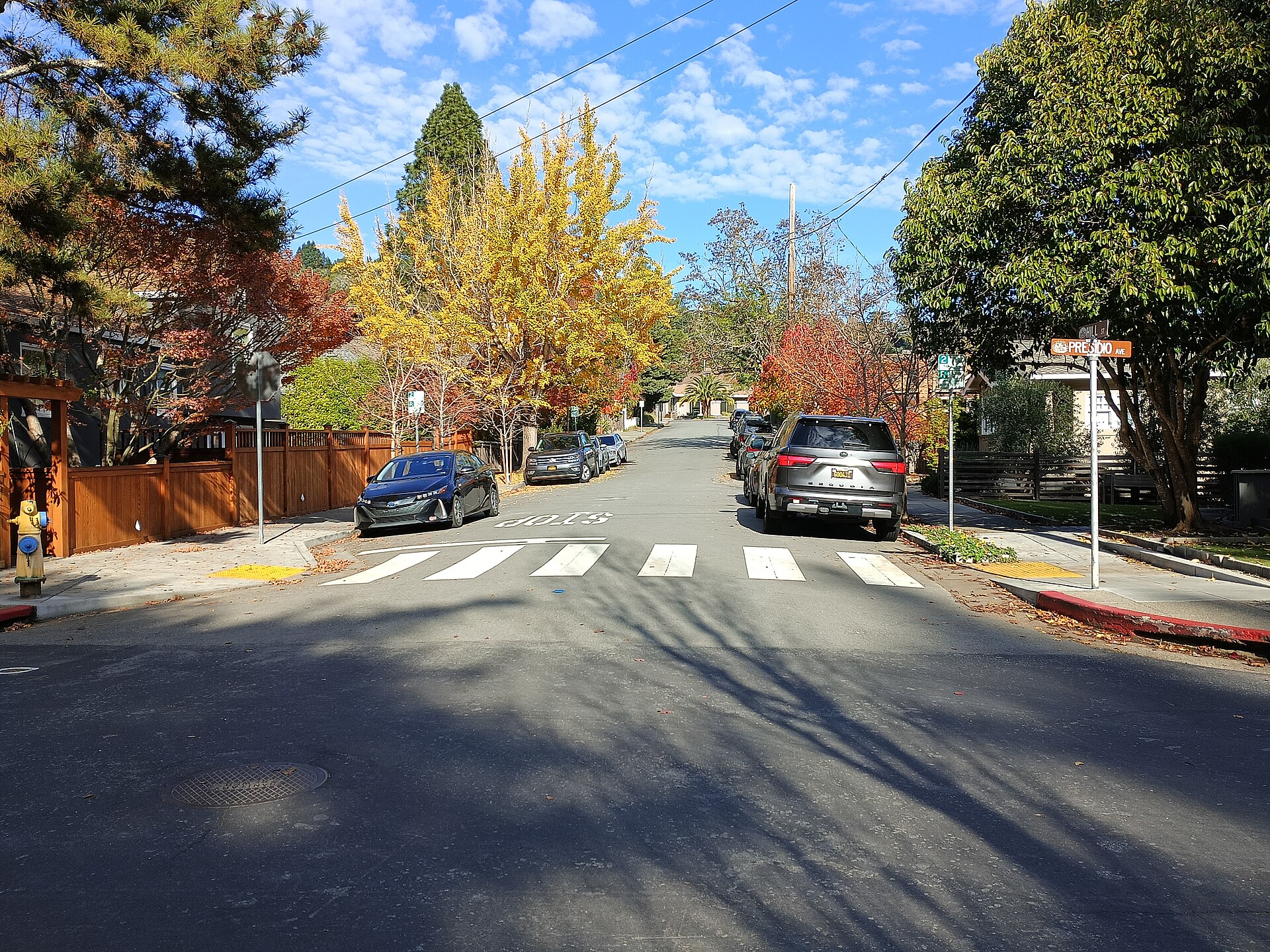 Downtown Mill Valley. Photo: ElektraFlowers, CC BY-SA 4.0